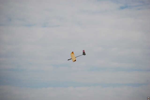 img00021.jpg