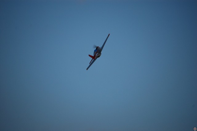 img00004.jpg