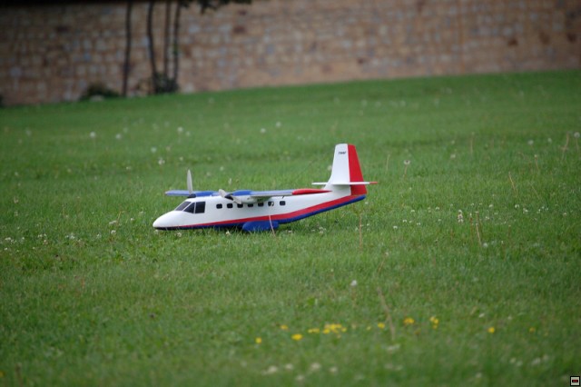 img00011.jpg