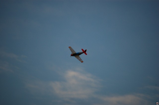 img00013.jpg