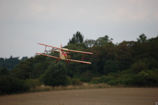 img00017.jpg