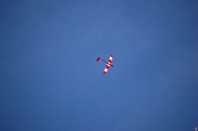 img00017.jpg