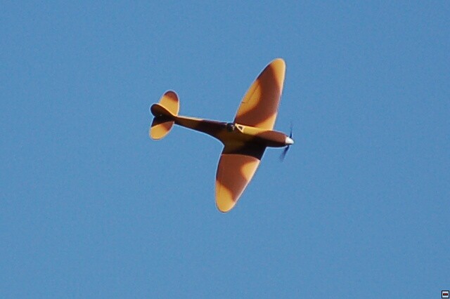 img00004.jpg