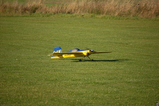 img00010.jpg